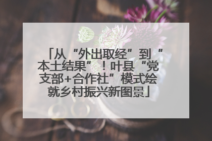 从“外出取经”到“本土结果”！叶县“党支部+合作社”模式绘就乡村振兴新图景