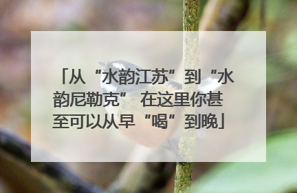 从“水韵江苏”到“水韵尼勒克” 在这里你甚至可以从早“喝”到晚