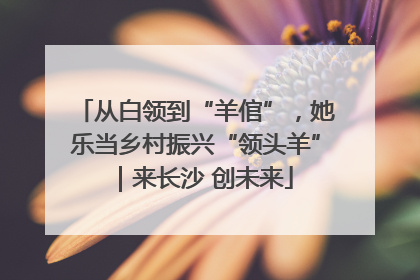 从白领到“羊倌”，她乐当乡村振兴“领头羊”｜来长沙 创未来