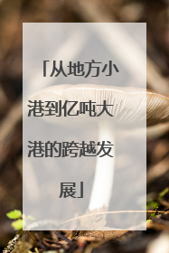 从地方小港到亿吨大港的跨越发展