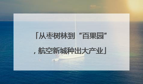 从枣树林到“百果园”，航空新城种出大产业
