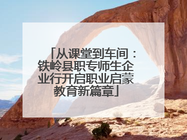 从课堂到车间：铁岭县职专师生企业行开启职业启蒙教育新篇章