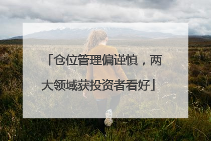 仓位管理偏谨慎，两大领域获投资者看好