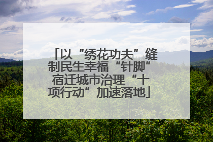 以“绣花功夫”缝制民生幸福“针脚” 宿迁城市治理“十项行动”加速落地