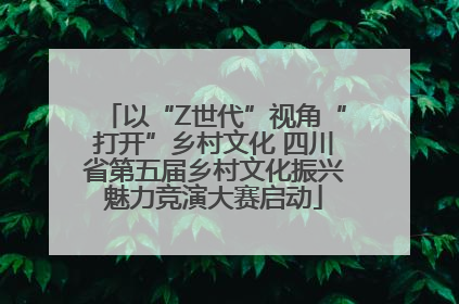 以“Z世代”视角“打开”乡村文化 四川省第五届乡村文化振兴魅力竞演大赛启动