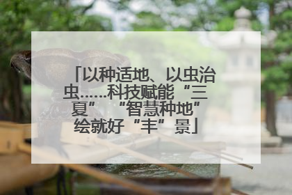 以种适地、以虫治虫……科技赋能“三夏” “智慧种地”绘就好“丰”景