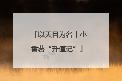 以天目为名丨小香薯“升值记”