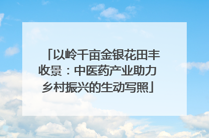 以岭千亩金银花田丰收景：中医药产业助力乡村振兴的生动写照
