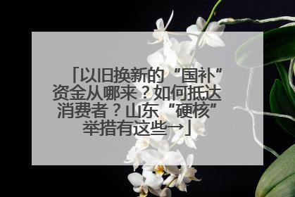 以旧换新的“国补”资金从哪来？如何抵达消费者？山东“硬核”举措有这些→