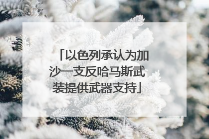 以色列承认为加沙一支反哈马斯武装提供武器支持
