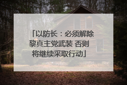 以防长：必须解除黎真主党武装 否则将继续采取行动