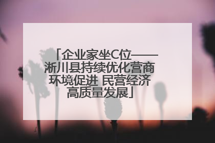 企业家坐C位——淅川县持续优化营商环境促进 民营经济高质量发展