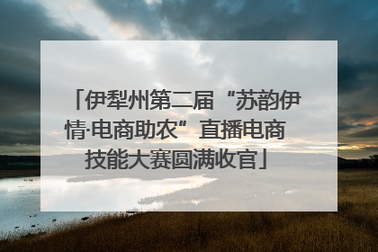 伊犁州第二届“苏韵伊情·电商助农”直播电商技能大赛圆满收官