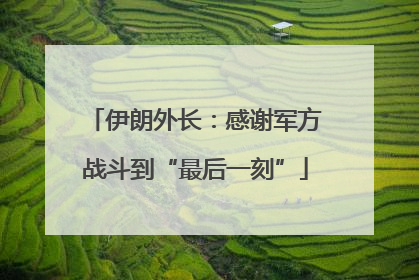伊朗外长：感谢军方战斗到“最后一刻”
