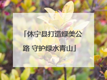 休宁县打造绿美公路 守护绿水青山