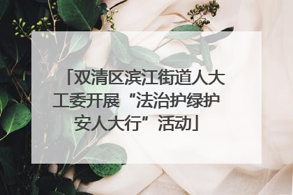 双清区滨江街道人大工委开展“法治护绿护安人大行”活动