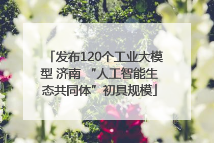 发布120个工业大模型 济南 “人工智能生态共同体”初具规模