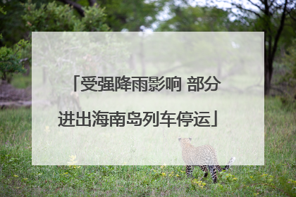 受强降雨影响 部分进出海南岛列车停运