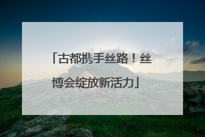 古都携手丝路！丝博会绽放新活力
