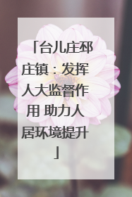 台儿庄邳庄镇：发挥人大监督作用 助力人居环境提升