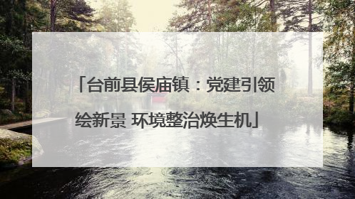 台前县侯庙镇：党建引领绘新景 环境整治焕生机