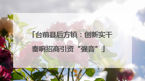 台前县后方镇：创新实干奏响招商引资“强音”