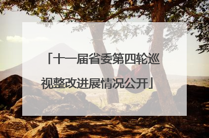 十一届省委第四轮巡视整改进展情况公开