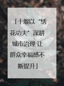 十堰以“绣花功夫”深耕城市治理 让群众幸福感不断提升