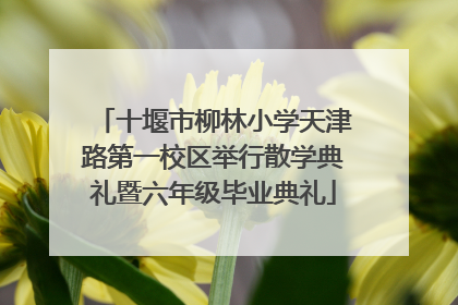 十堰市柳林小学天津路第一校区举行散学典礼暨六年级毕业典礼