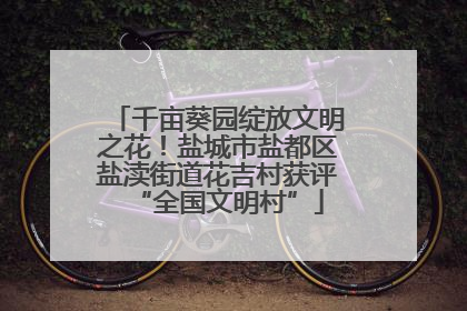 千亩葵园绽放文明之花！盐城市盐都区盐渎街道花吉村获评“全国文明村”