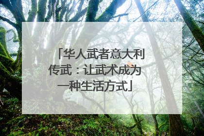 华人武者意大利传武：让武术成为一种生活方式