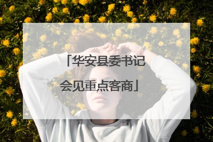 华安县委书记会见重点客商
