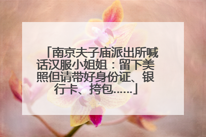 南京夫子庙派出所喊话汉服小姐姐：留下美照但请带好身份证、银行卡、挎包……