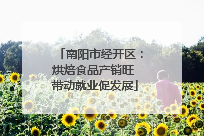 南阳市经开区：烘焙食品产销旺 带动就业促发展