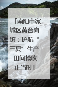 南阳市宛城区黄台岗镇：护航“三夏”生产 田间抢收正当时