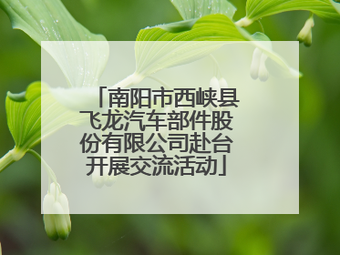 南阳市西峡县飞龙汽车部件股份有限公司赴台开展交流活动