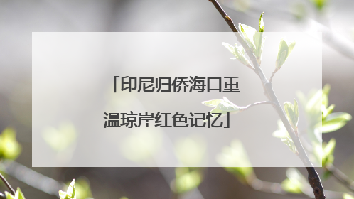 印尼归侨海口重温琼崖红色记忆