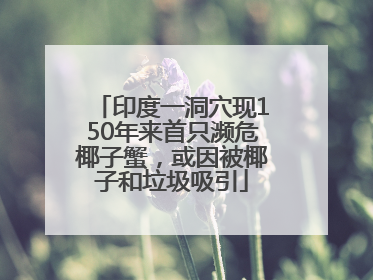 印度一洞穴现150年来首只濒危椰子蟹，或因被椰子和垃圾吸引