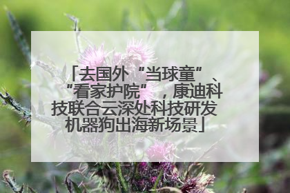 去国外“当球童”、“看家护院”，康迪科技联合云深处科技研发机器狗出海新场景