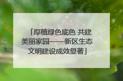 厚植绿色底色 共建美丽家园——新区生态文明建设成效显著