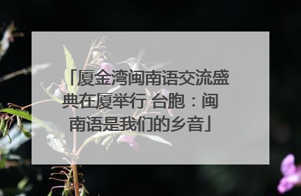 厦金湾闽南语交流盛典在厦举行 台胞：闽南语是我们的乡音