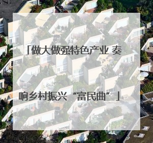 做大做强特色产业 奏响乡村振兴“富民曲”