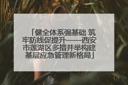 健全体系强基础 筑牢防线促提升——西安市莲湖区多措并举构建基层应急管理新格局