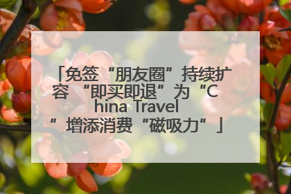 免签“朋友圈”持续扩容 “即买即退”为“China Travel”增添消费“磁吸力”
