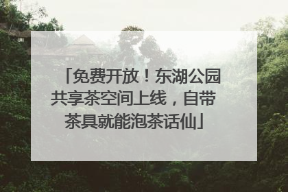 免费开放！东湖公园共享茶空间上线，自带茶具就能泡茶话仙