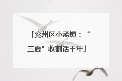 兖州区小孟镇：“三夏”收割话丰年