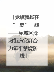 党旗飘扬在“三夏”一线——宛城区溧河街道党群合力筑牢禁烧防线