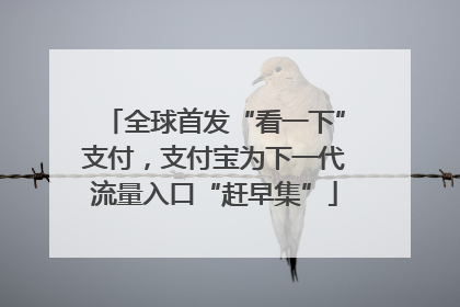 全球首发“看一下”支付，支付宝为下一代流量入口“赶早集”
