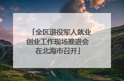 全区退役军人就业创业工作现场推进会在北海市召开