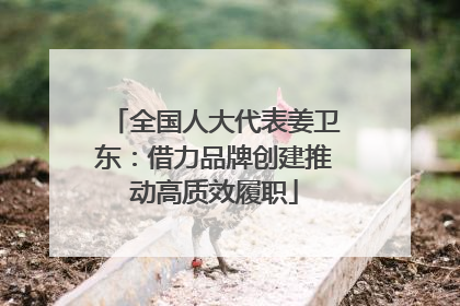 全国人大代表姜卫东：借力品牌创建推动高质效履职